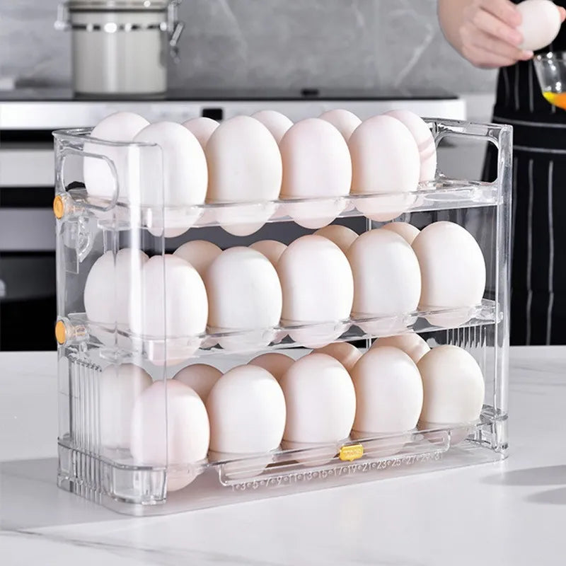 egg storage box container