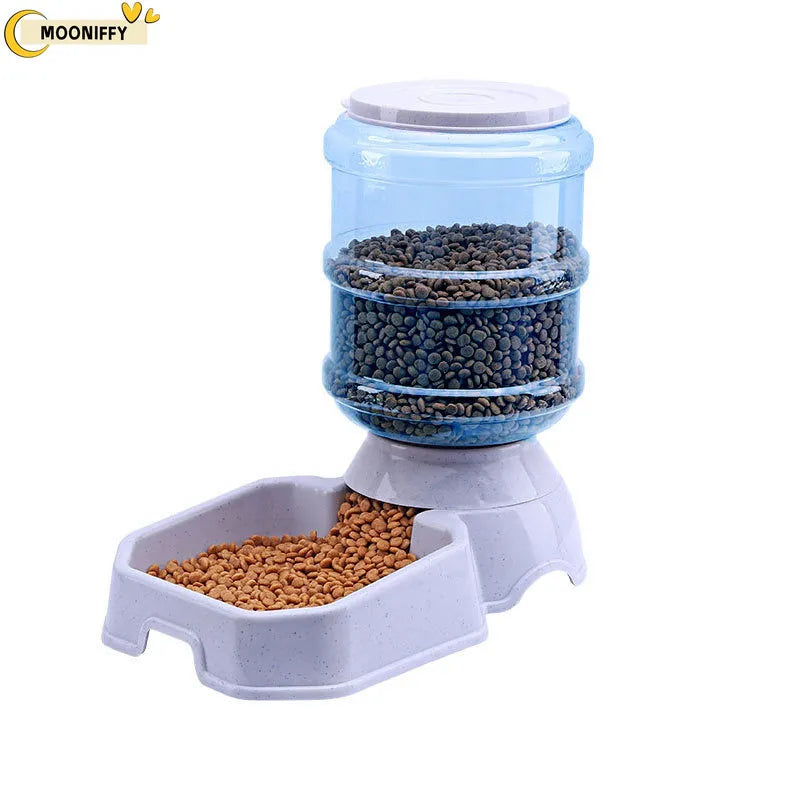 Automatic Dog Feeder