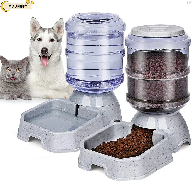 Automatic Dog Feeder