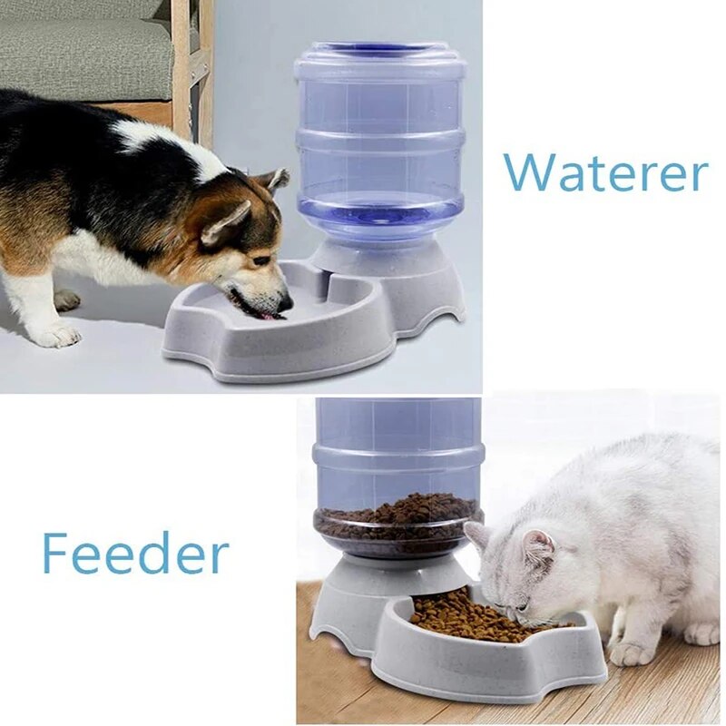 Automatic Dog Feeder